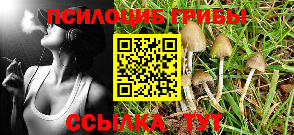 Псилоцибиновые грибы GOLDEN TEACHER Корсаков