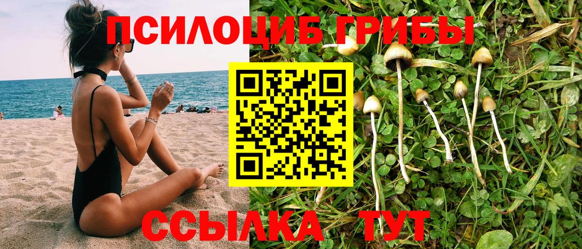 Корсаков  Галлюциногенные грибы Magic Shrooms  Псилоцибиновые грибы Psilocybine cubensis  Вход с VPN 